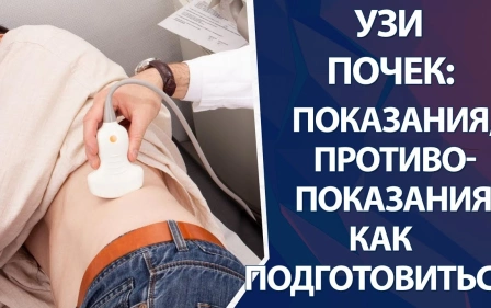 УЗИ почек: как подготовиться к УЗИ почек, показания и противопоказания