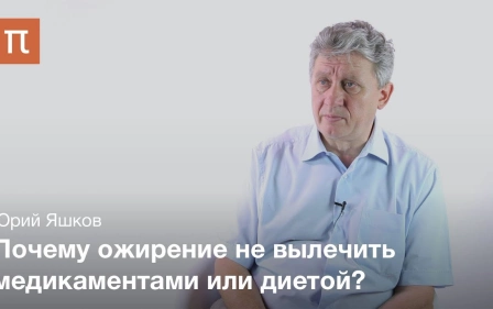 Ожирение как проблема современной медицины - Юрий Яшков