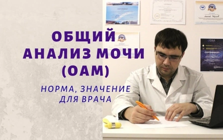 Общий анализ мочи (ОАМ): норма основных показателей, значение